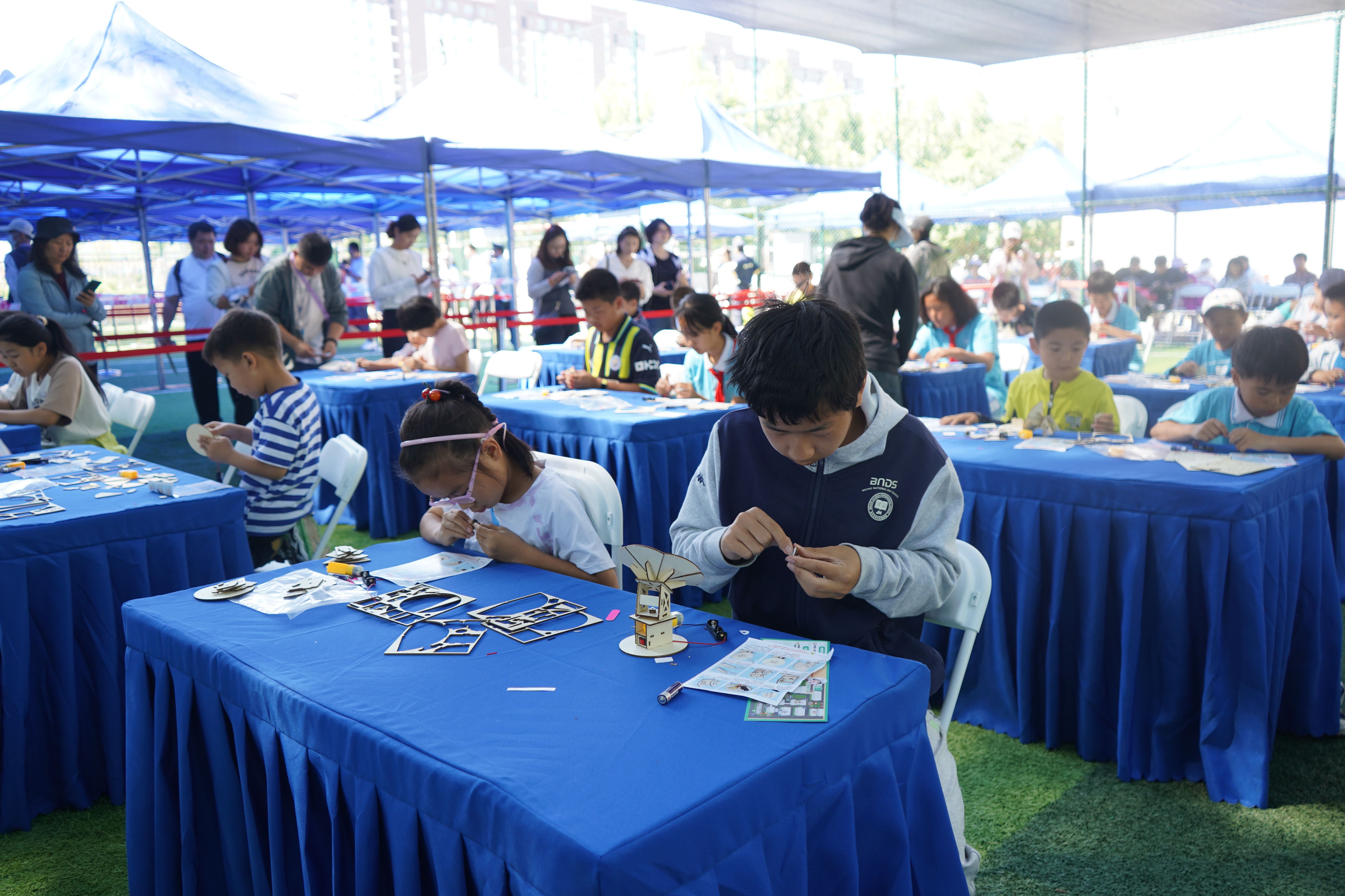 DSC01018.jpg